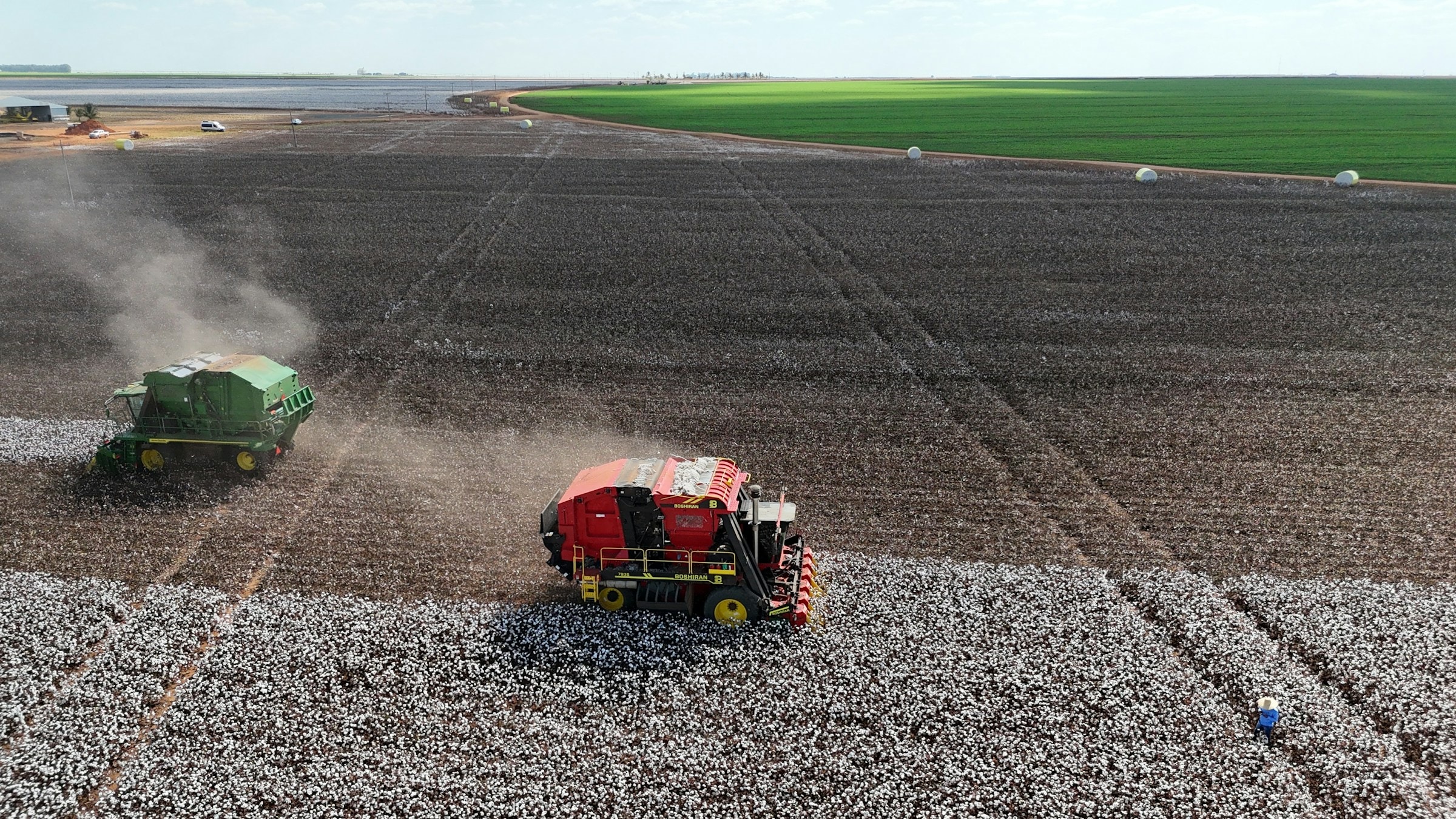 Two harvesters working across a cotton field.