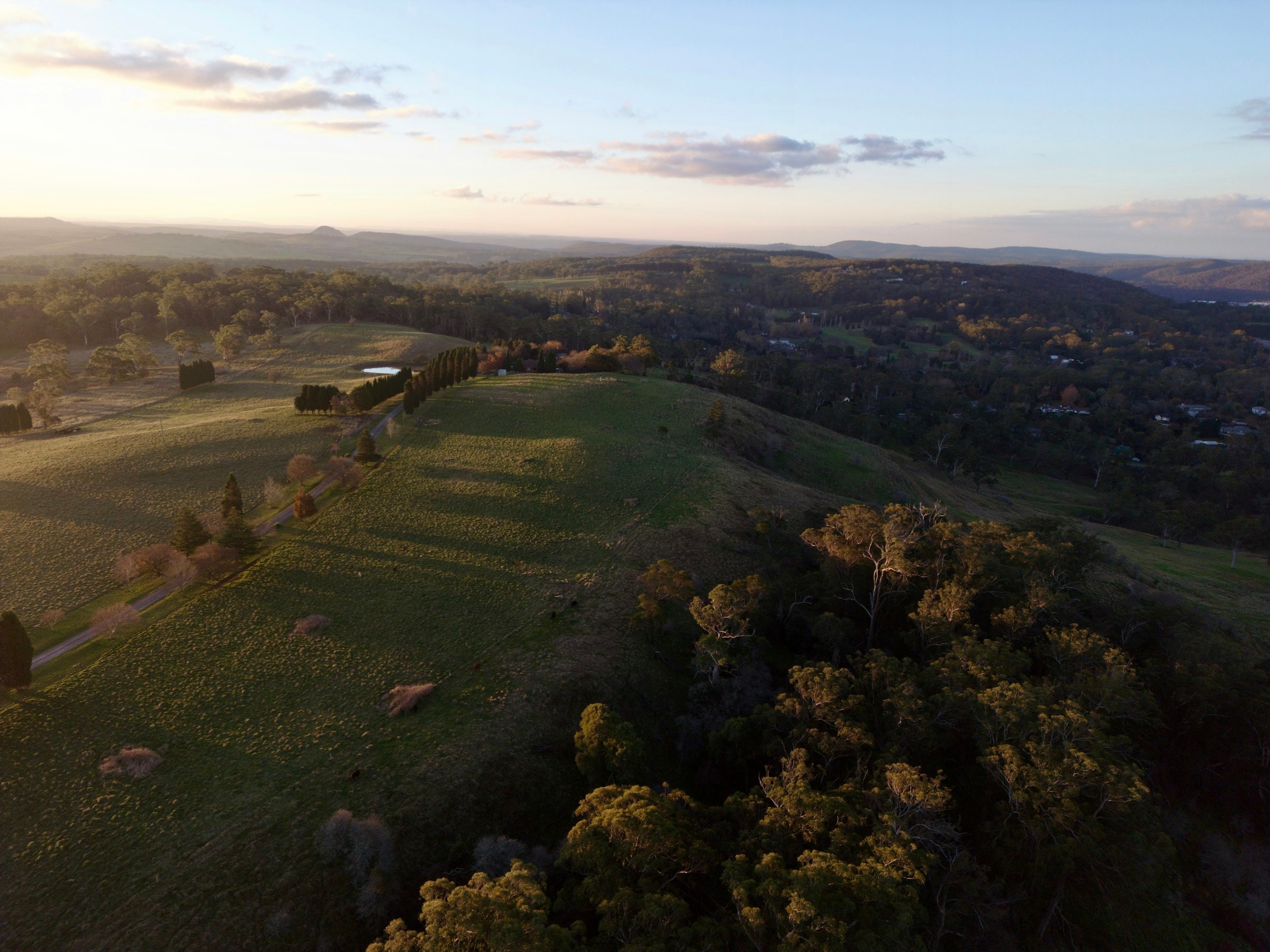 Rolling green countryside and trees near Bowral, New South Wales.